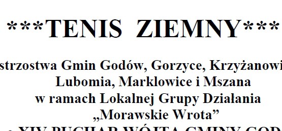 Turniej Tenisa Ziemnego