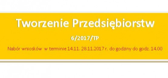 Tworzenie Przedsiębiorstw 6/2017/TP