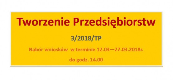 Tworzenie Przedsiębiorstw 3/2018