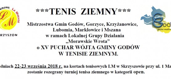 Turniej Tenisa Ziemnego w Skrzyszowie