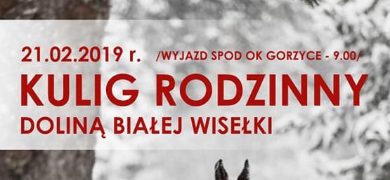 KULIG RODZINNY DOLINĄ BIAŁEJ WISEŁKI 21.02.2019