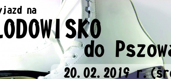 WYJAZD NA LODOWISKO DO PSZOWA