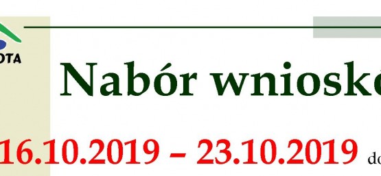 OGŁOSZENIE O KONKURSACH GRANTOWYCH - DODATKOWY NABÓR 2019
