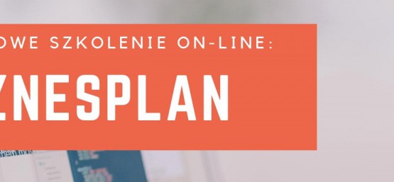 BIZNESPLAN - SZKOLENIE ON-LINE