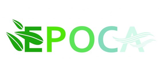 PROJEKT WSPÓŁPRACY - EPOCA