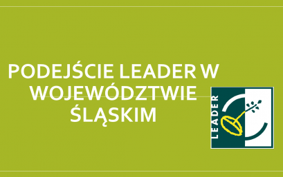 PODEJŚCIE LEADER W WOJEWÓDZTWIE ŚLĄSKIM