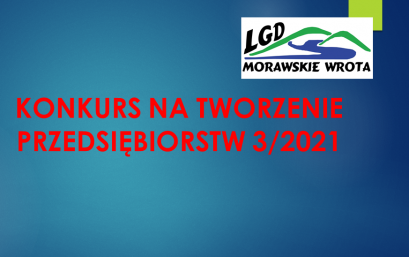 OGŁOSZENIE O KONKURSACH NA TWORZENIE PRZEDSIĘBIORSTW- 3/2021