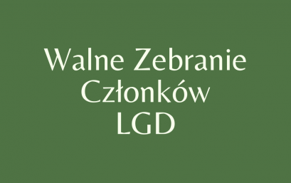 PODSUMOWANIE WALNEGO ZEBRANIA CZŁONKÓW LGD Z DNIA 28.06.2022 R.