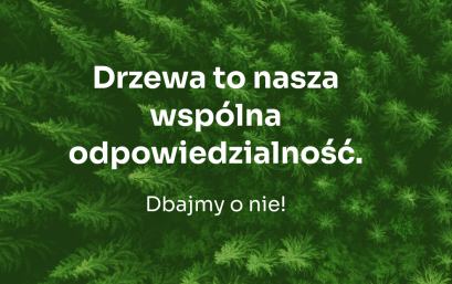 ZIELONE MORAWSKIE WROTA