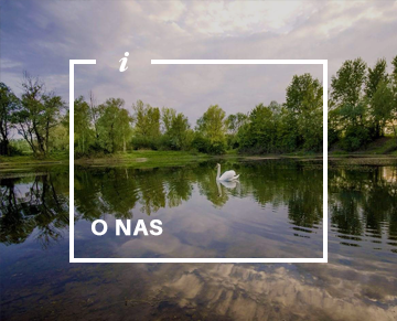 onas-2.png